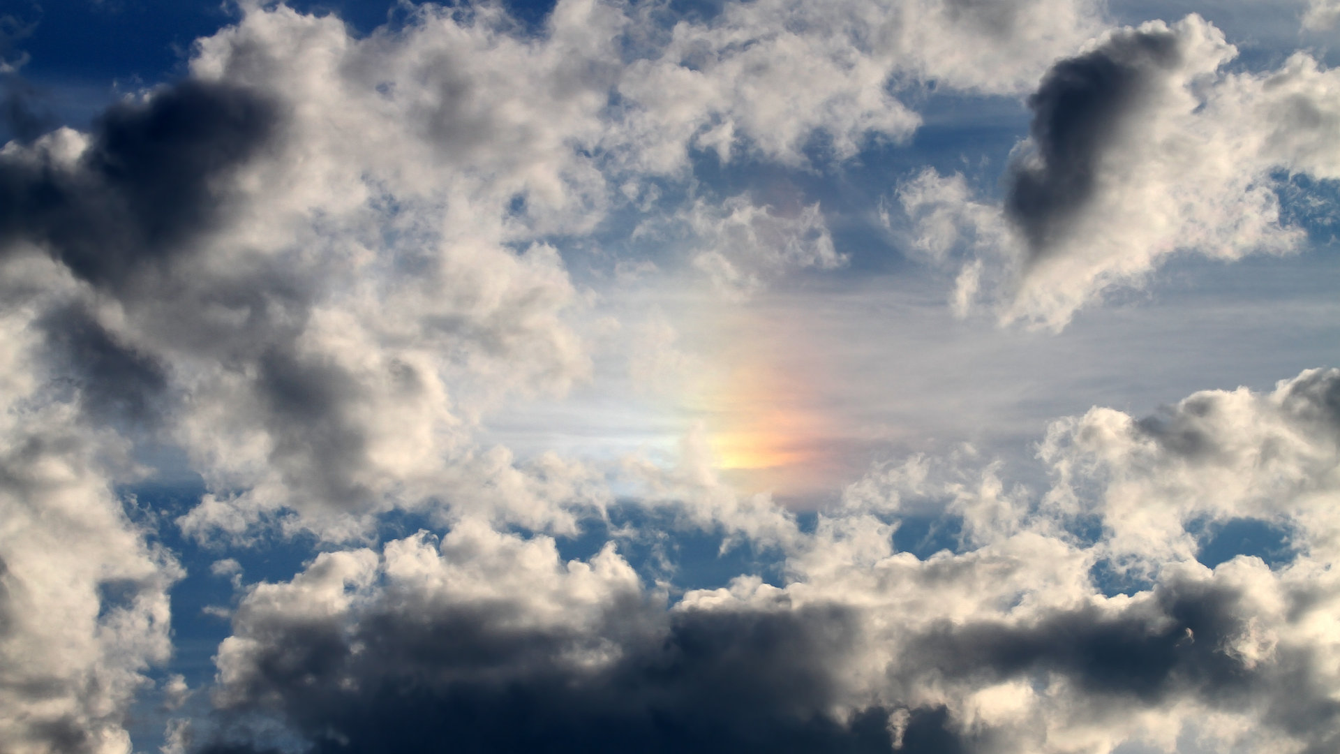 孤星破阵,爱德华兹独舞撕裂浙江防线,上海鏖战取关键一胜