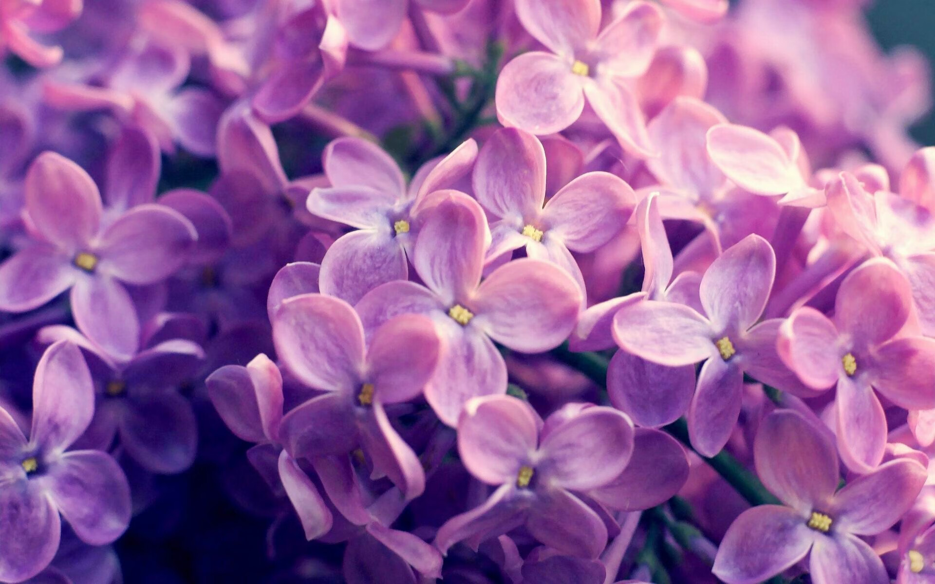 冰与火之歌，2026世界杯之夜，布雷默以冷静的史诗解锁传奇