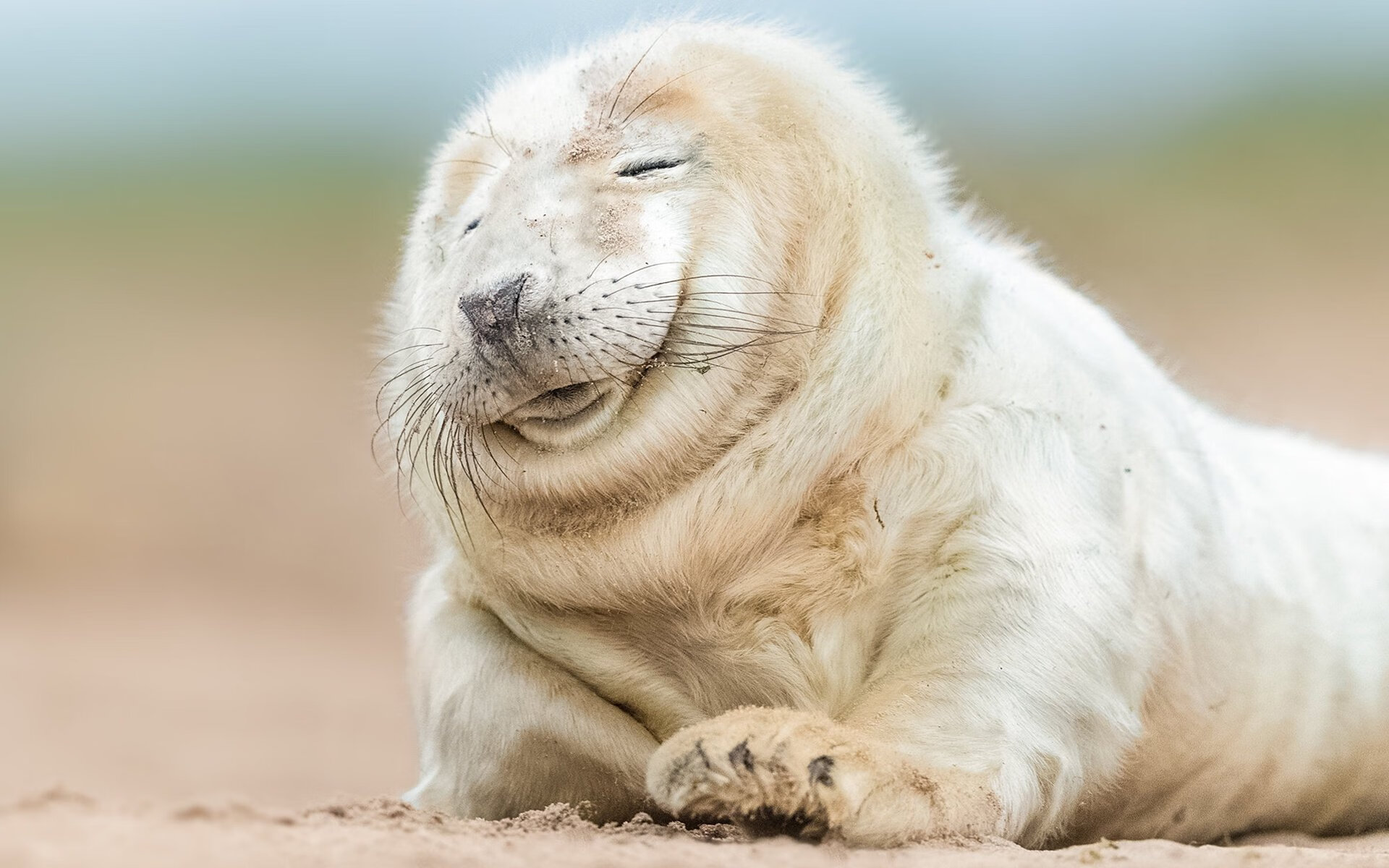 开云体育-跨界入侵之夜，当德里赫特数据在NBA季后赛引爆全场