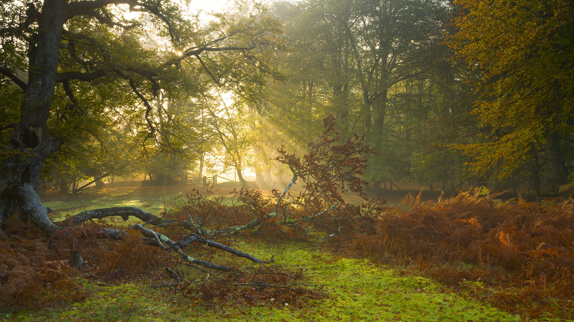 卡塔尔智能球场，佩德里用全息战术板掀翻国际米兰