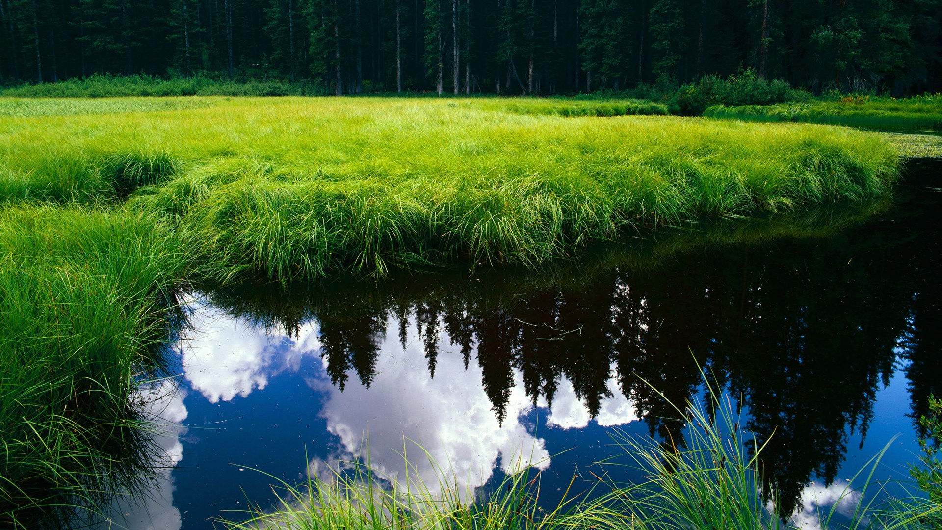 跨界梦幻对决，杰伦·格林狂飙47分，新疆飞虎轻取奥兰多魔术