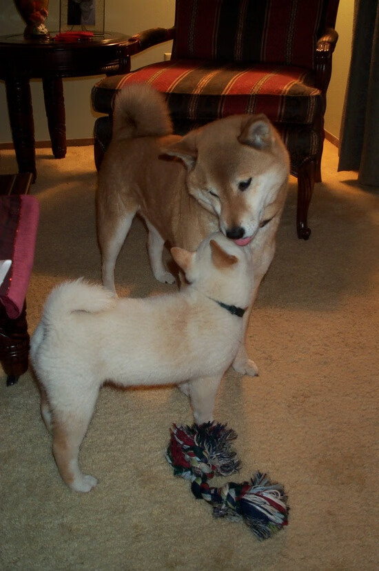 开云体育登录-破界双城记，恩比德费城降龙，小贾伦慕尼黑称王—同一日的篮球全球叙事