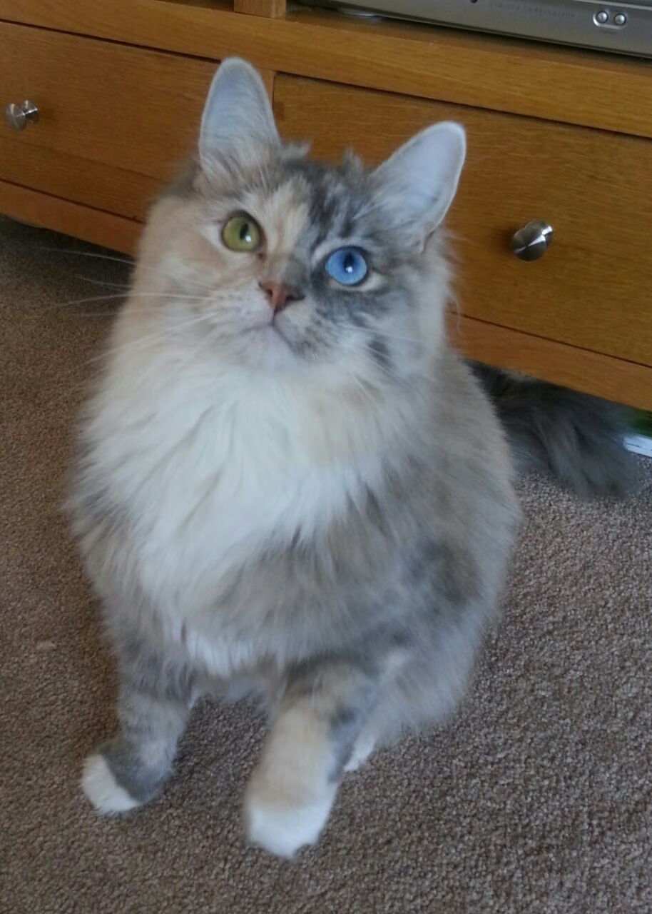 开云体育入口-残阵雄鹿的沉默加时，一场颠覆宿命的压哨绝杀