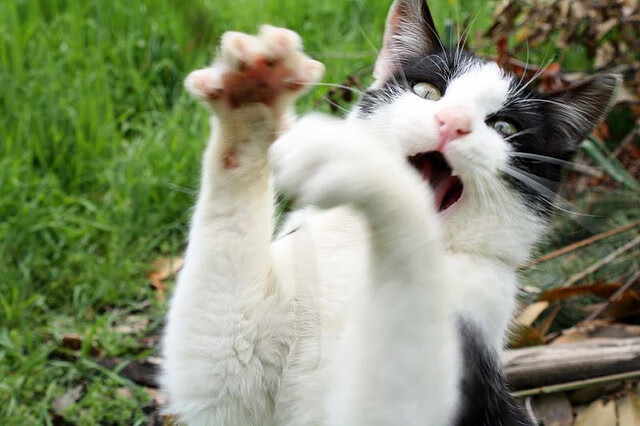 逆鳞与深渊，杜兰特关键战的新生，一次撕开心理茧房的绝地突围