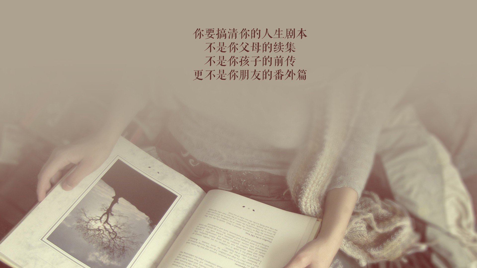 冰与火之舞,南亚雄狮撕裂北欧防线—费利克斯一剑封喉,泰国足球在2026世界杯写下最不可思议的童话