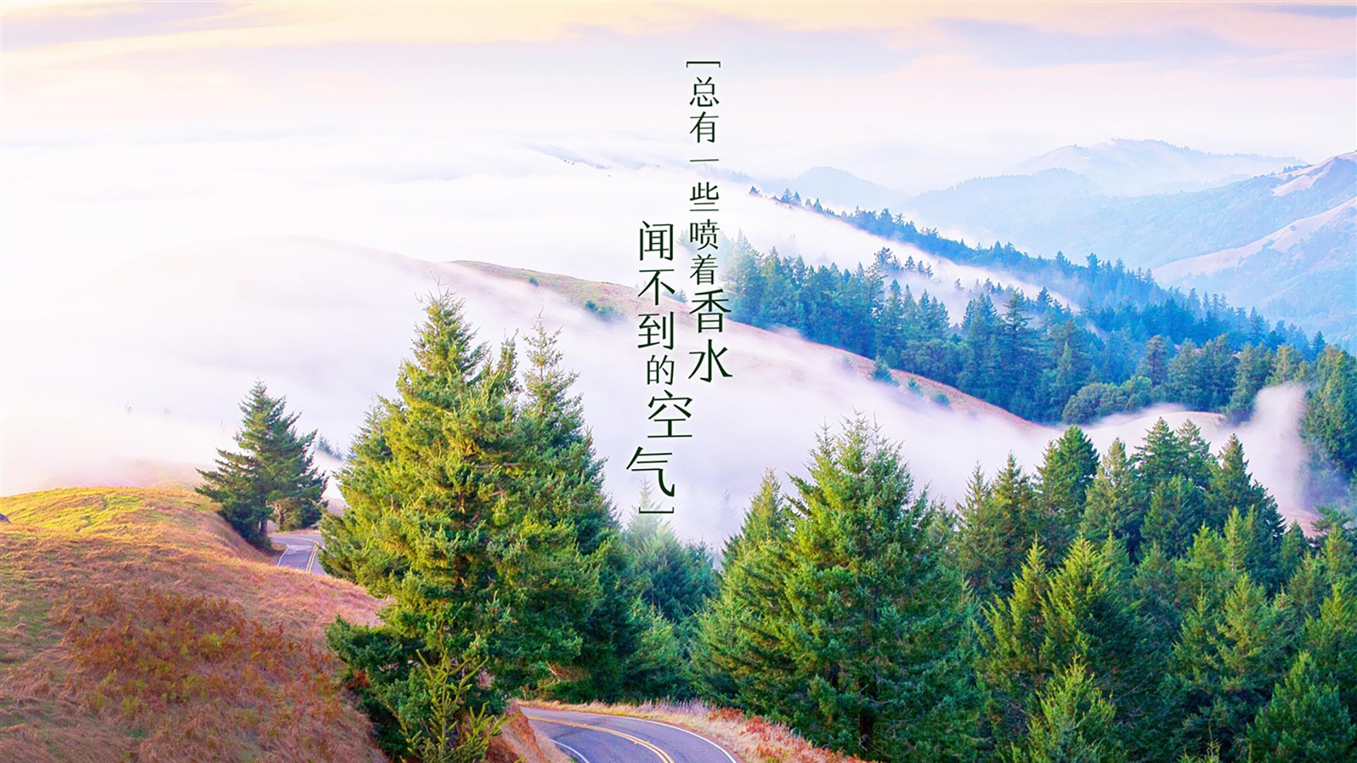 开云体育-2026世界杯决赛，紫焰与疾风，蓝衣军团如何用钢铁防线破解印度速度
