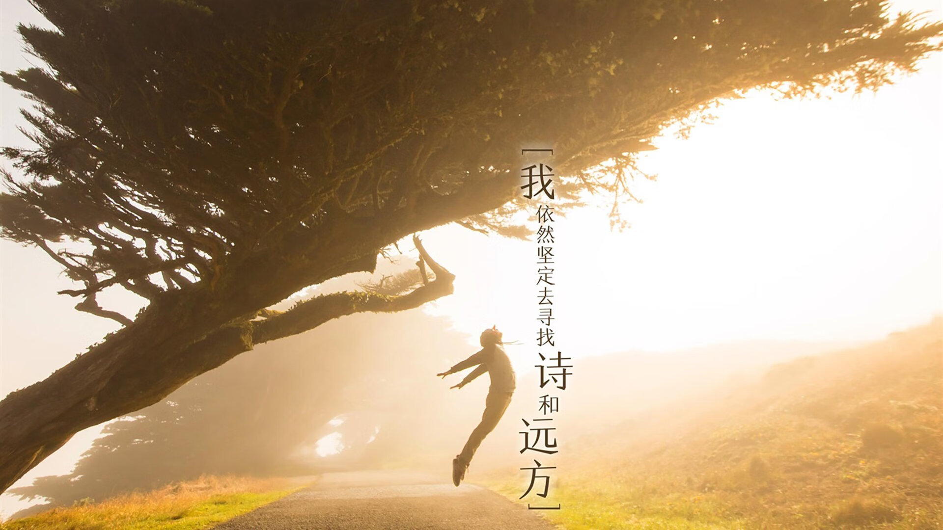 安第斯山脉的复仇,秘鲁铁骑踏碎葡萄牙黄金一代,贝林厄姆孤星闪耀难救主